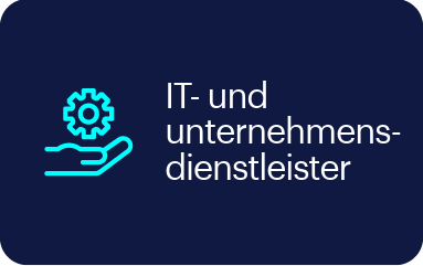 IT- und unternehmensdienstleister