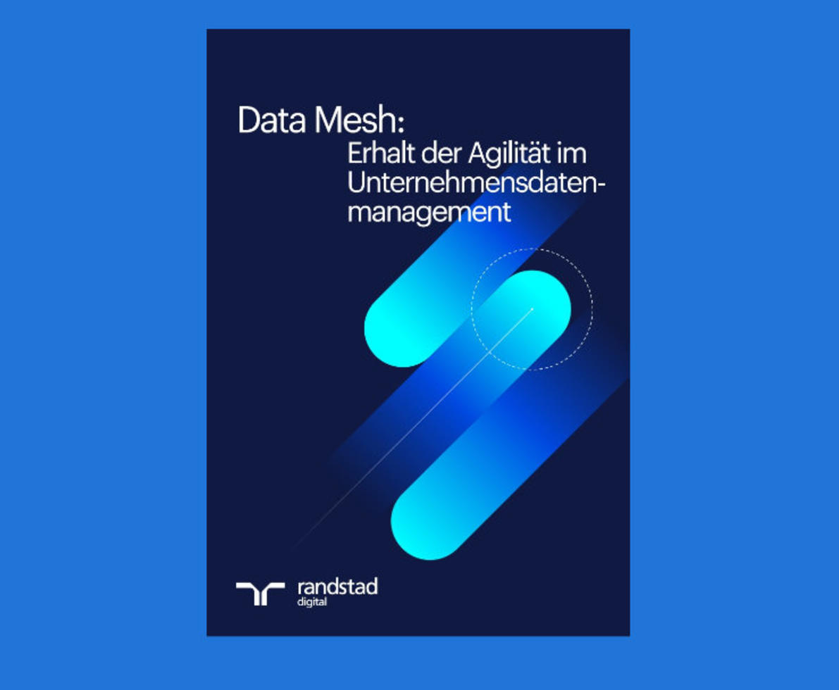 Data Mesh WP-Klein_v2